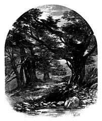 713 Dark Forest Two